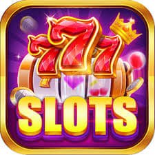 suncity casino