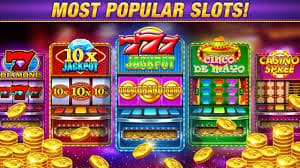 suncity casino