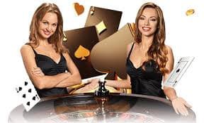suncity casino